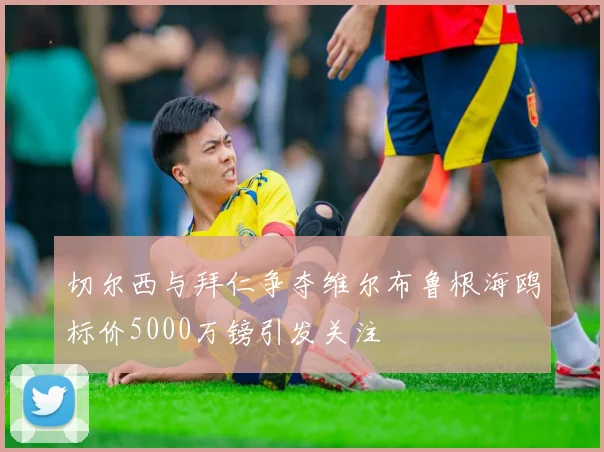 切尔西与拜仁争夺维尔布鲁根海鸥标价5000万镑引发关注